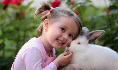 Lille pige med kanin