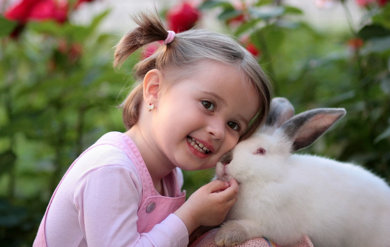 Lille pige med kanin