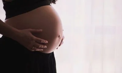 gravid mave